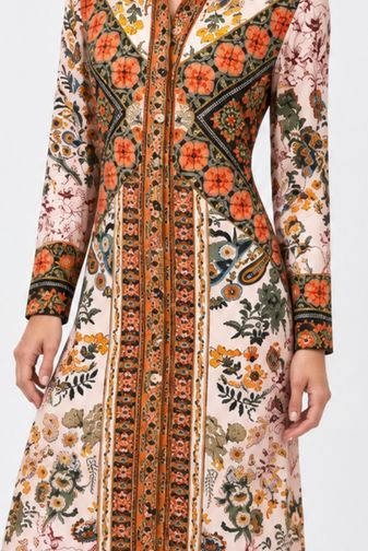 Janie fav fitted button down dress solana scarf johnny was princess bazaar